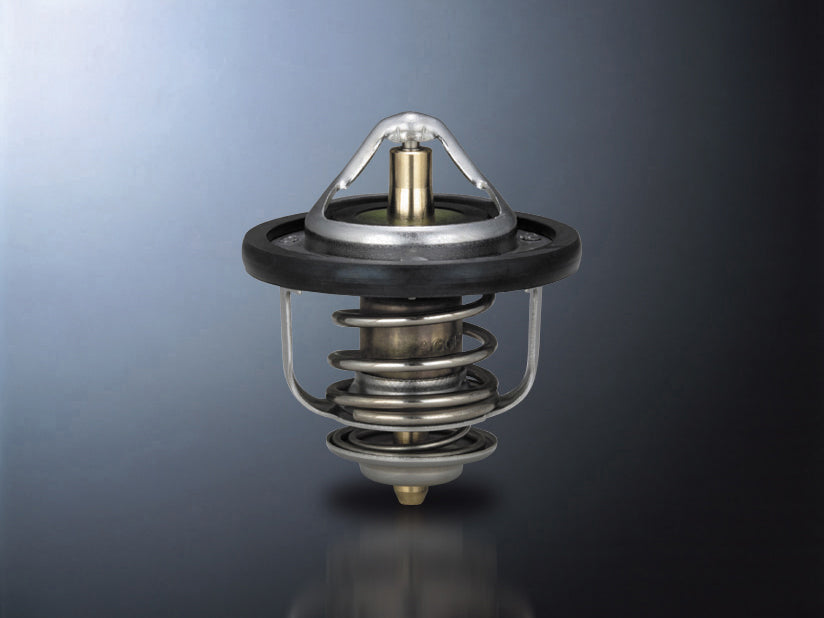 D-SPORT LOW TEMP THERMOSTAT For YRV M201G M211G 90048-C040